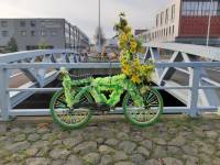 Warren Gregory, Flower Bike Man